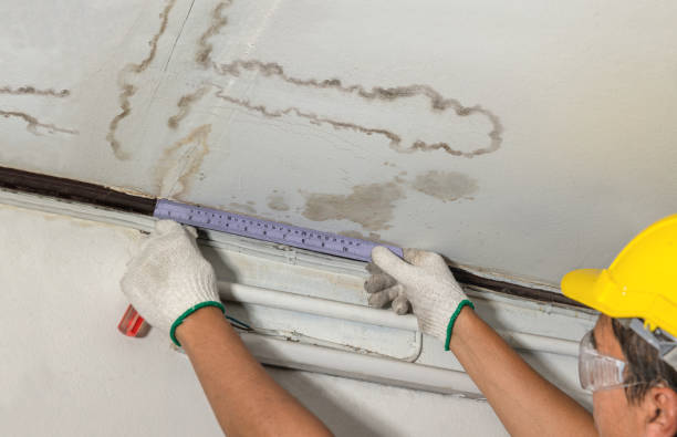 Reliable Water Damage contractor in Manassas, VA by Water Damage Irwin